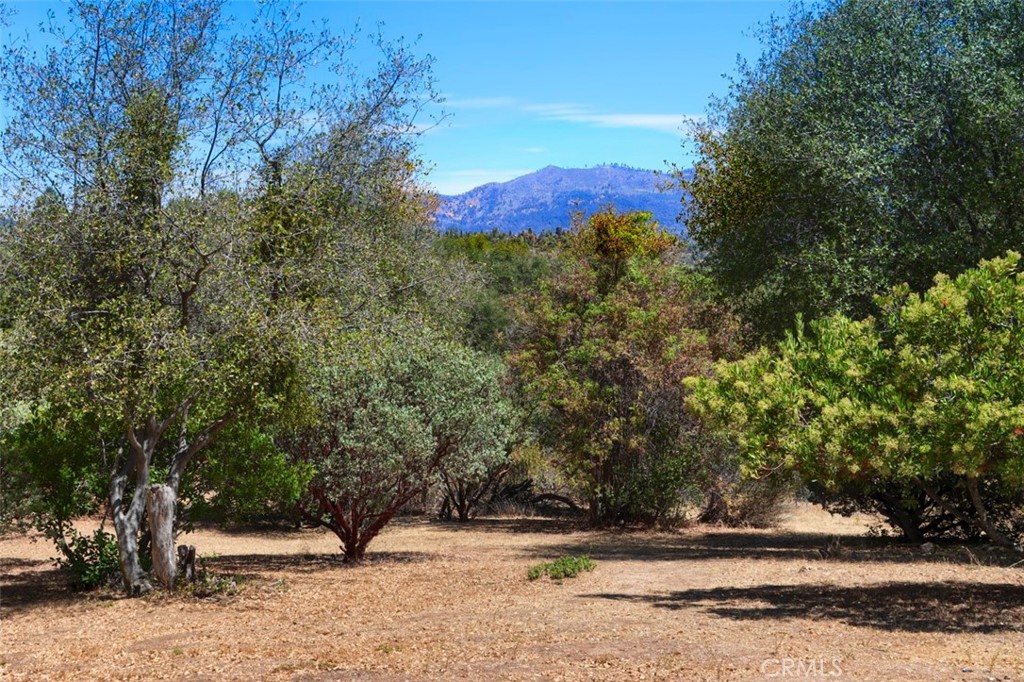 1956 Wild Horse Property Photo 62