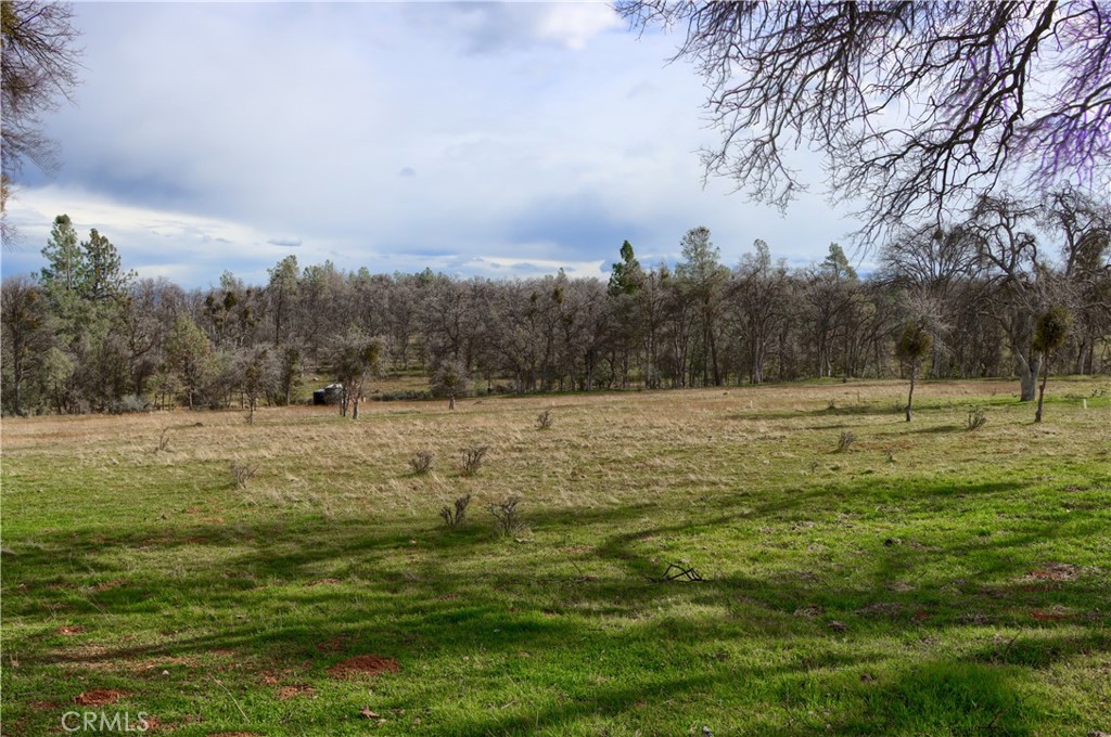 5857 Schilling Property Photo 38