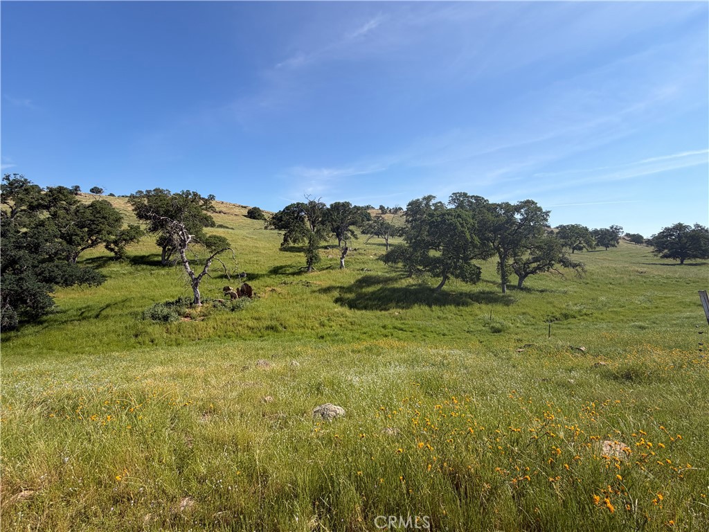 1991 Ca-140 Property Photo 64