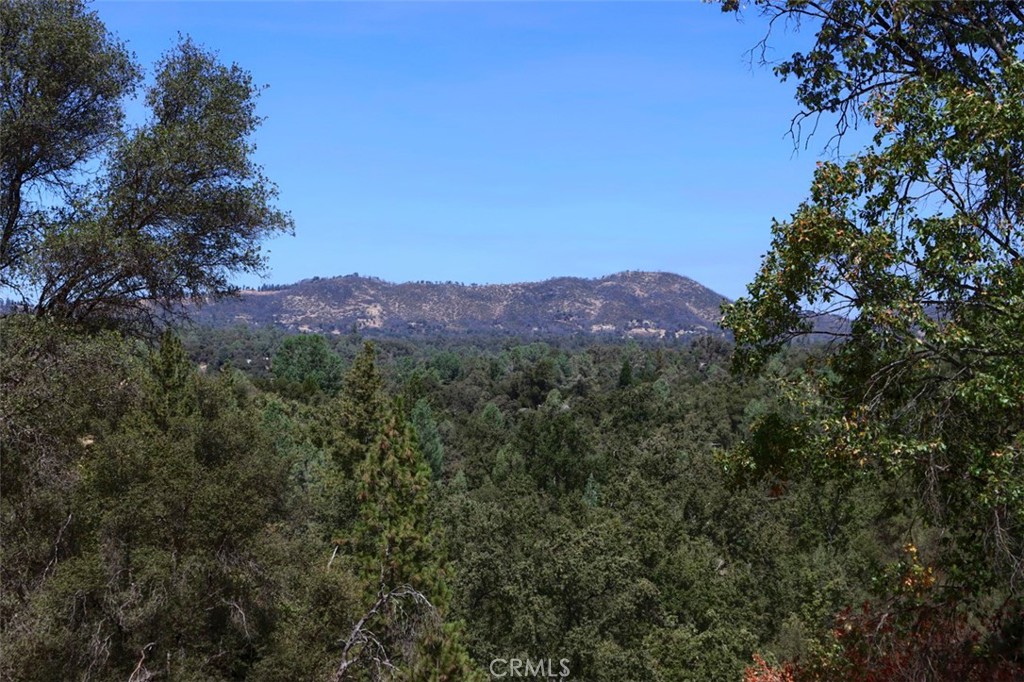 3777 Owl Creek Property Photo 42