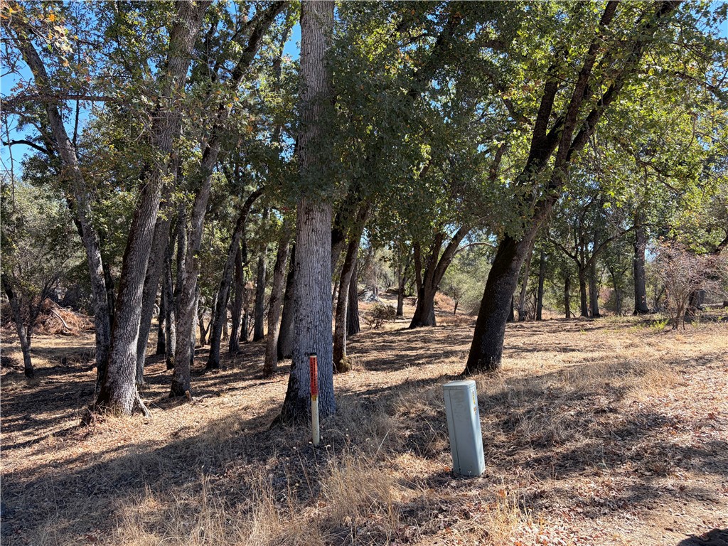 0 Morningstar Lane Property Photo 3