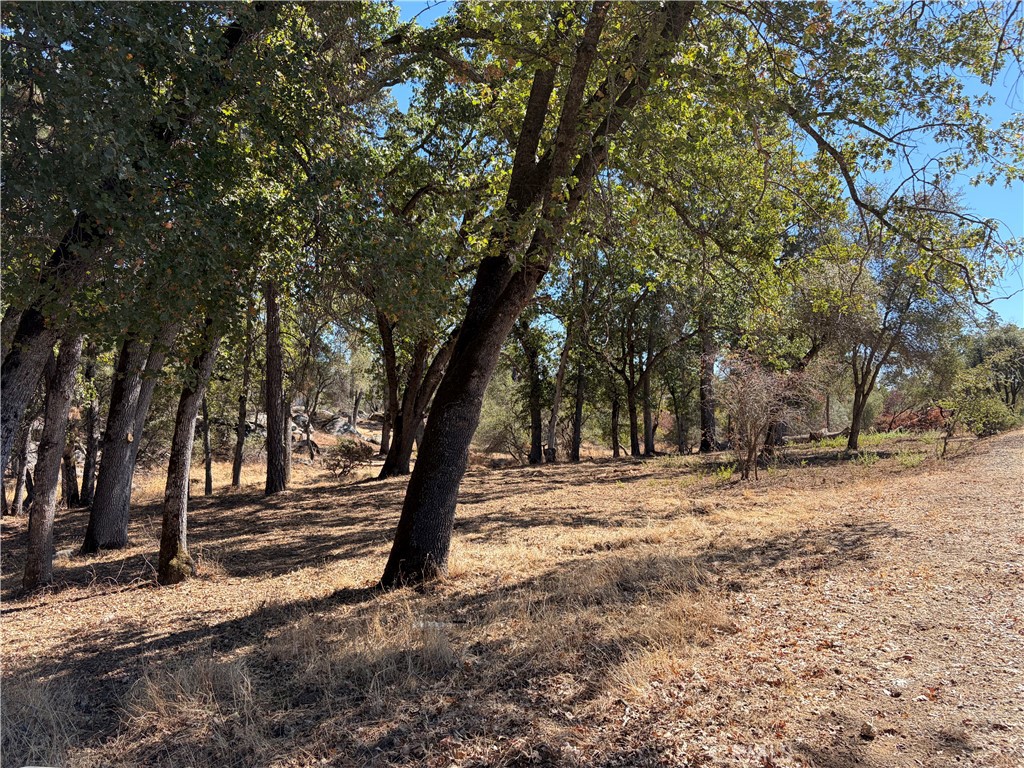 0 Morningstar Lane Property Photo 4