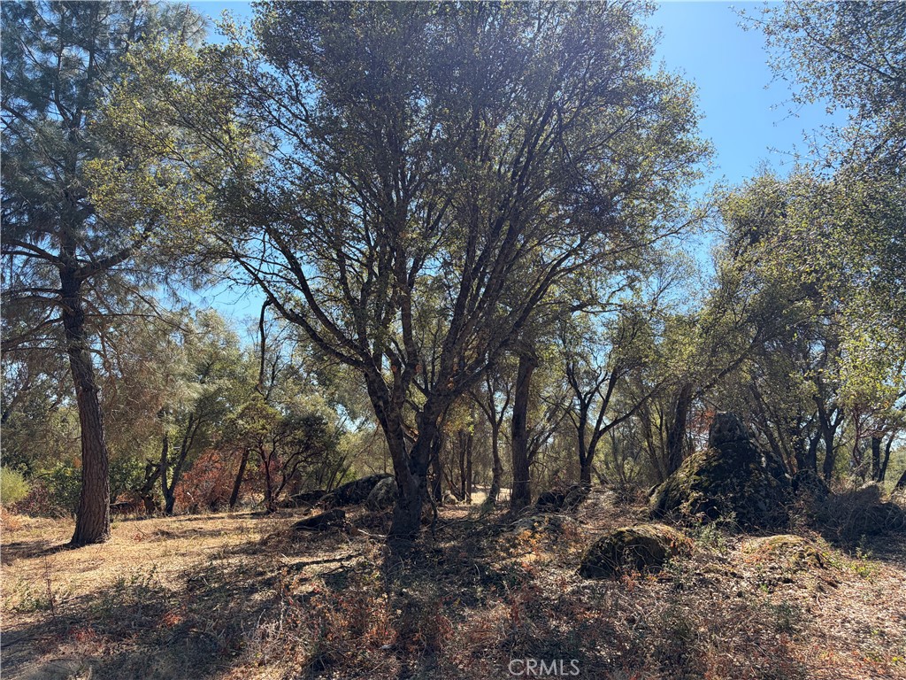 0 Morningstar Lane Property Photo 6