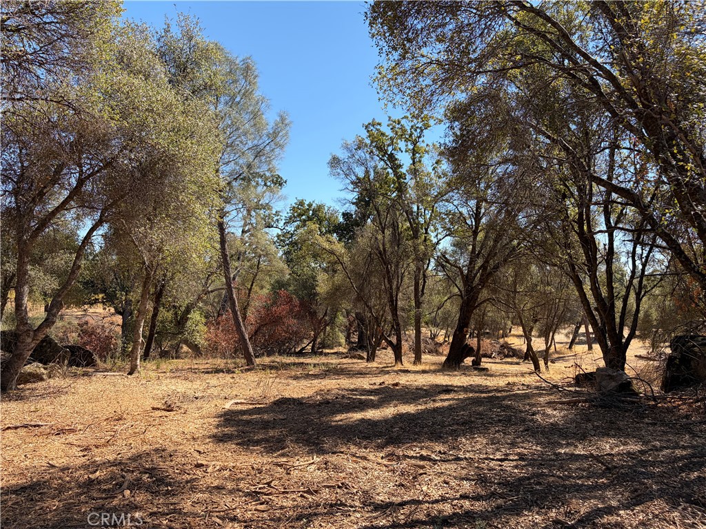 0 Morningstar Lane Property Photo 11