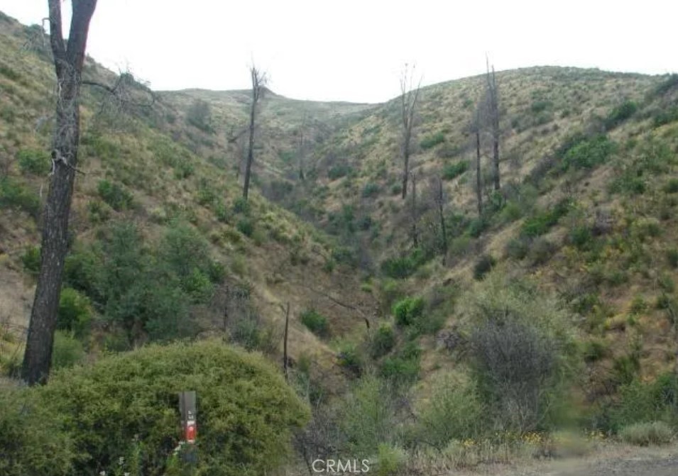 18524 Bartlett Springs Road Property Photo