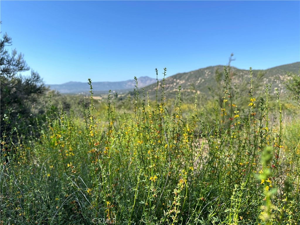 40 Winery Lane Property Photo 12