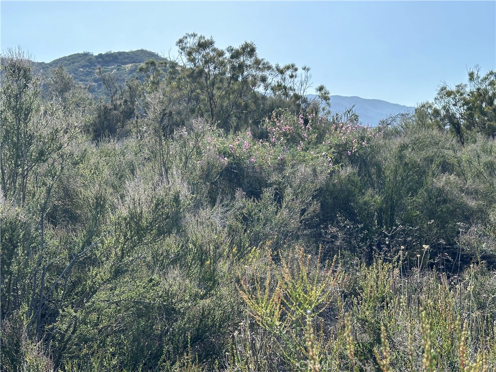 40 Winery Lane Property Photo 15