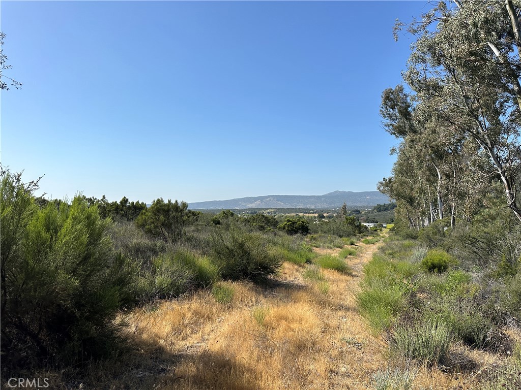 40 Winery Lane Property Photo 22