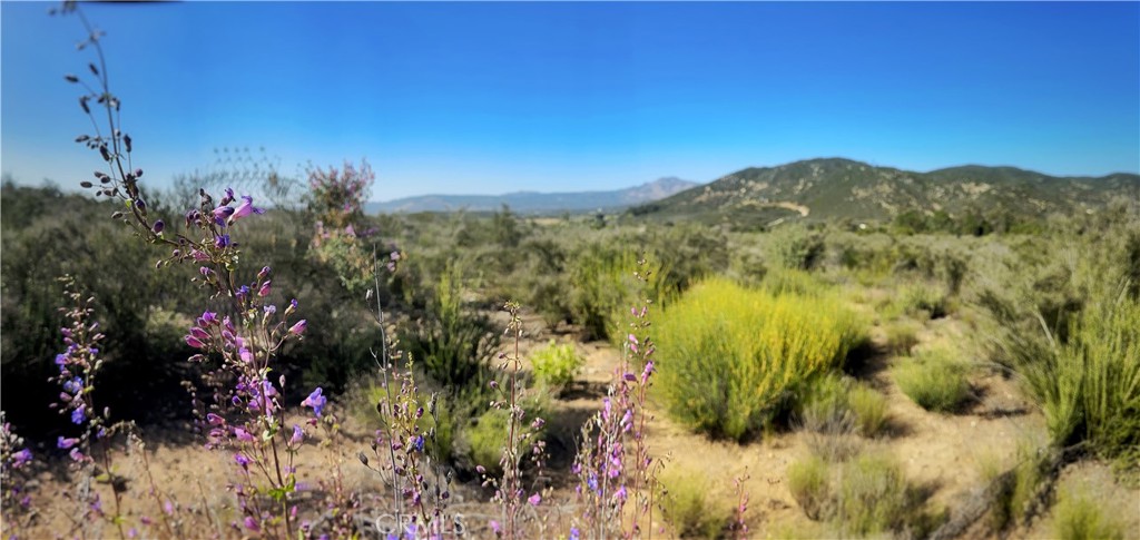 40 Winery Lane Property Photo 26