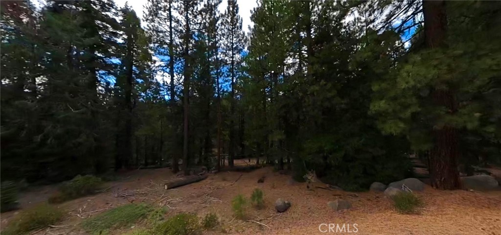 0 California Pines Boulevard Property Photo
