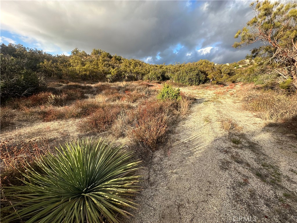 36825 Highway 79 Property Photo