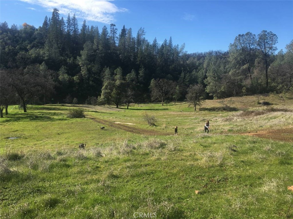 Bella Vista Real Estate Listings Main Image