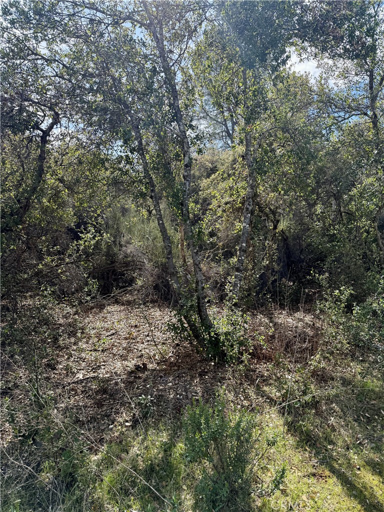 6430 Plunkett Lane Property Photo