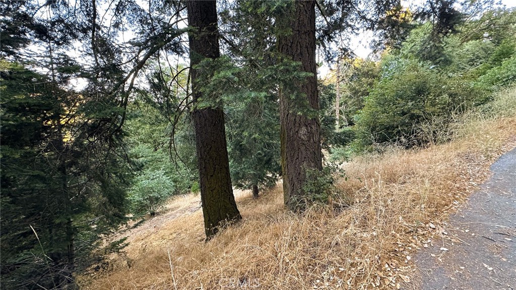 0 Fir Street Property Photo 1