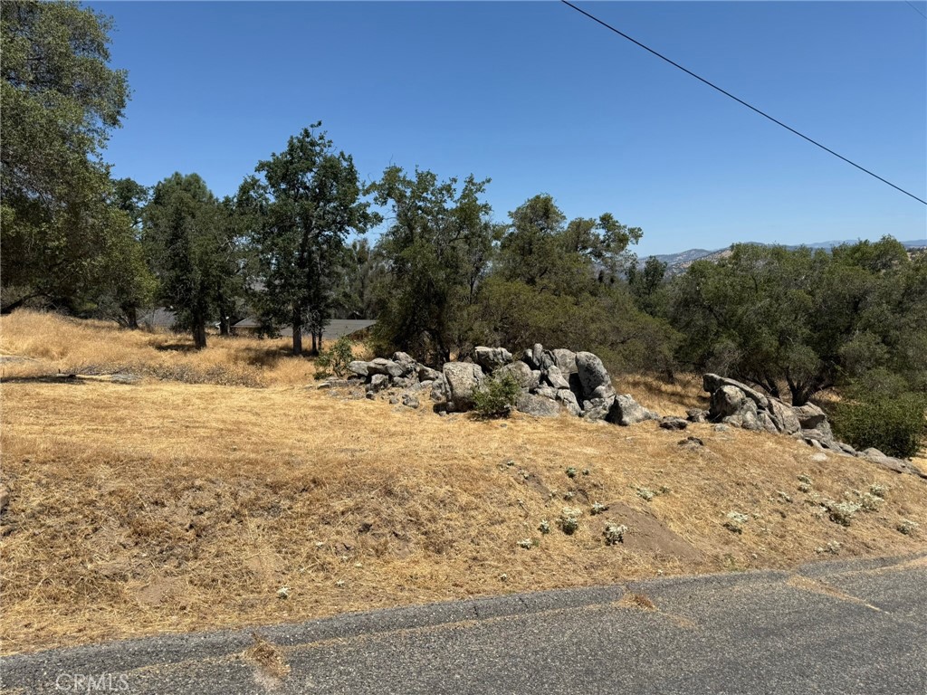 1 Wild Horse Way Property Photo 1