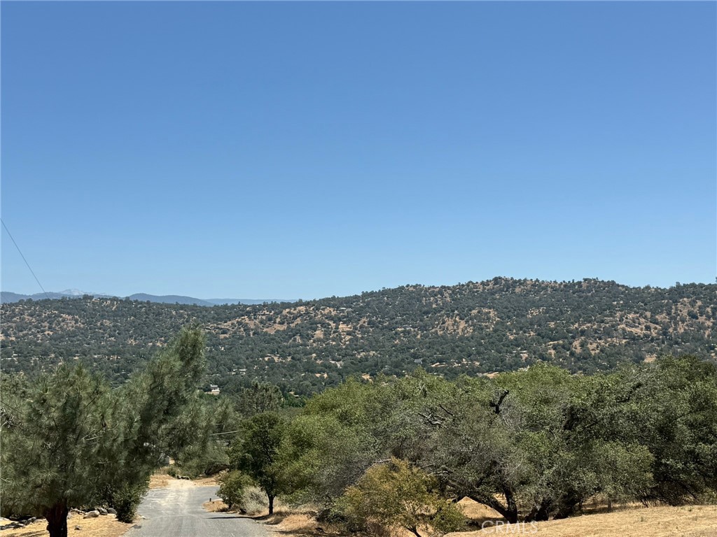 1 Wild Horse Way Property Photo 2