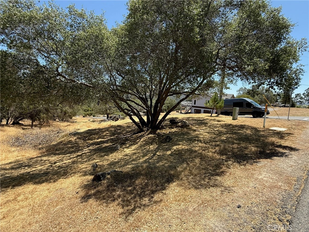 1 Wild Horse Way Property Photo 4