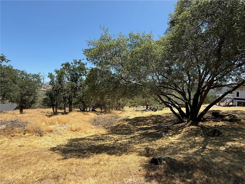 1 Wild Horse Way Property Photo 5