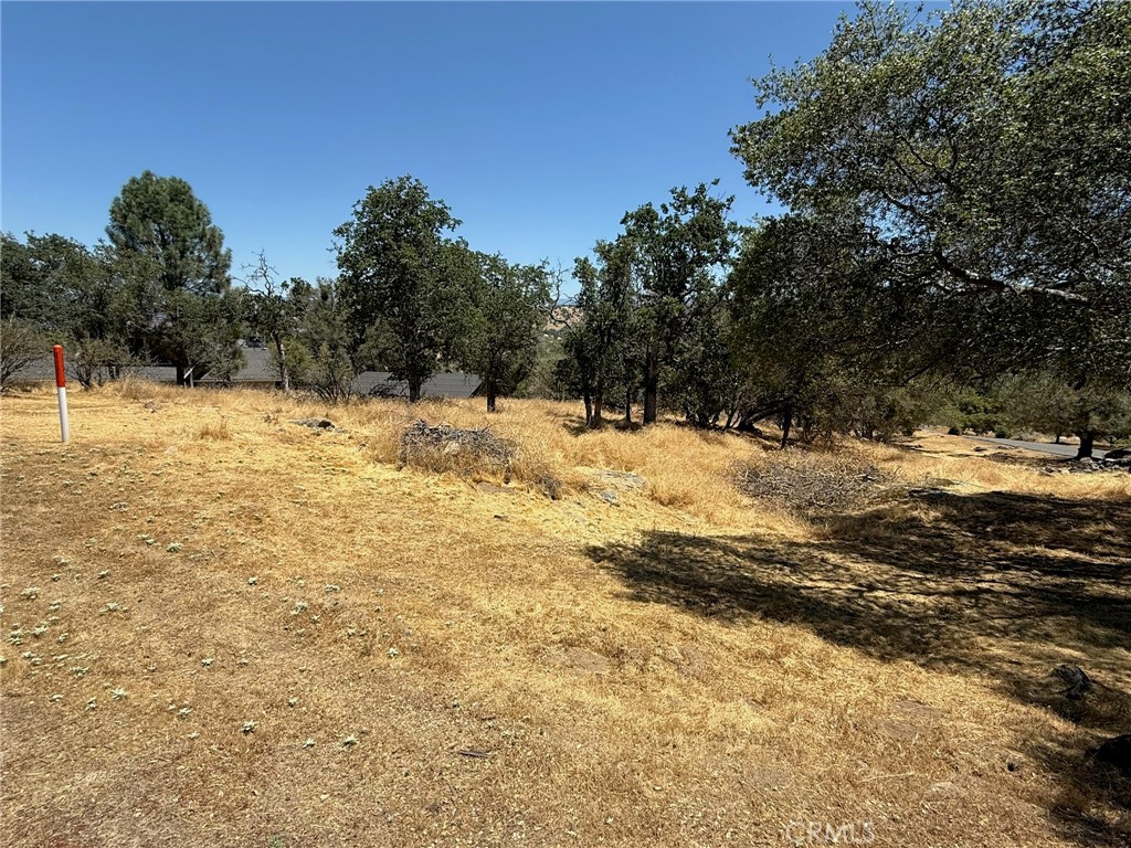 1 Wild Horse Way Property Photo 6