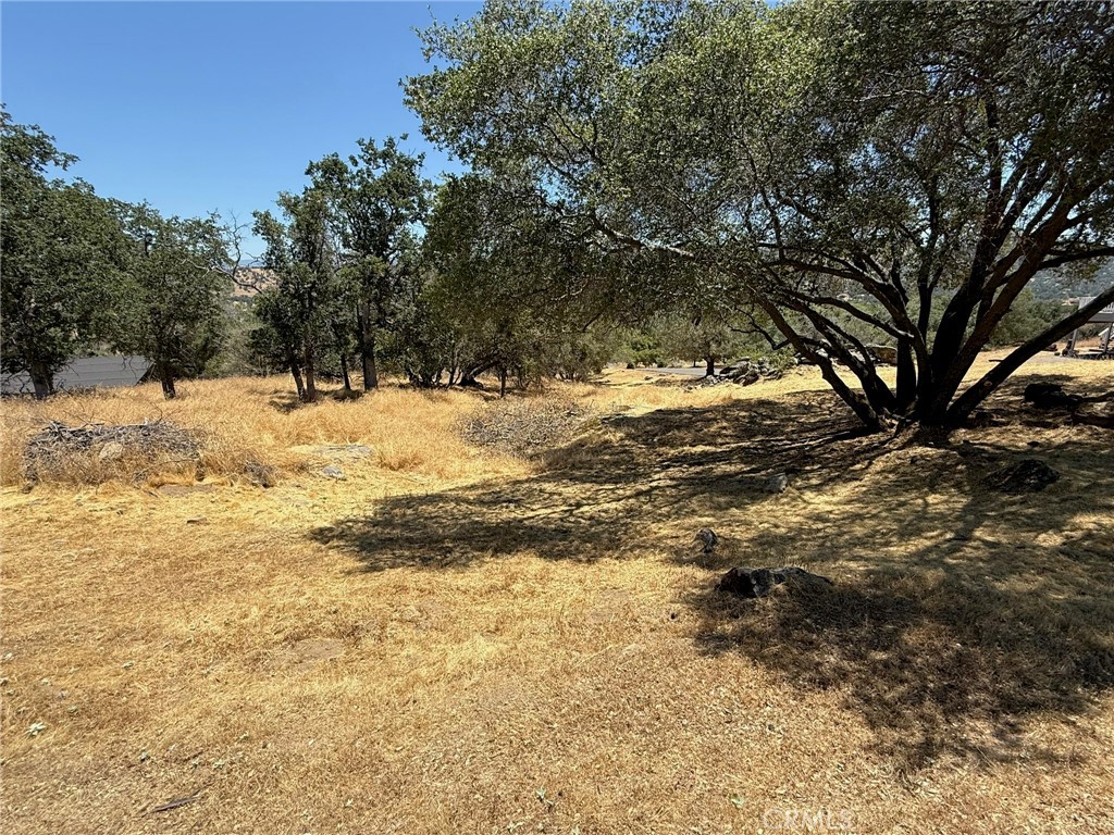 1 Wild Horse Way Property Photo 7