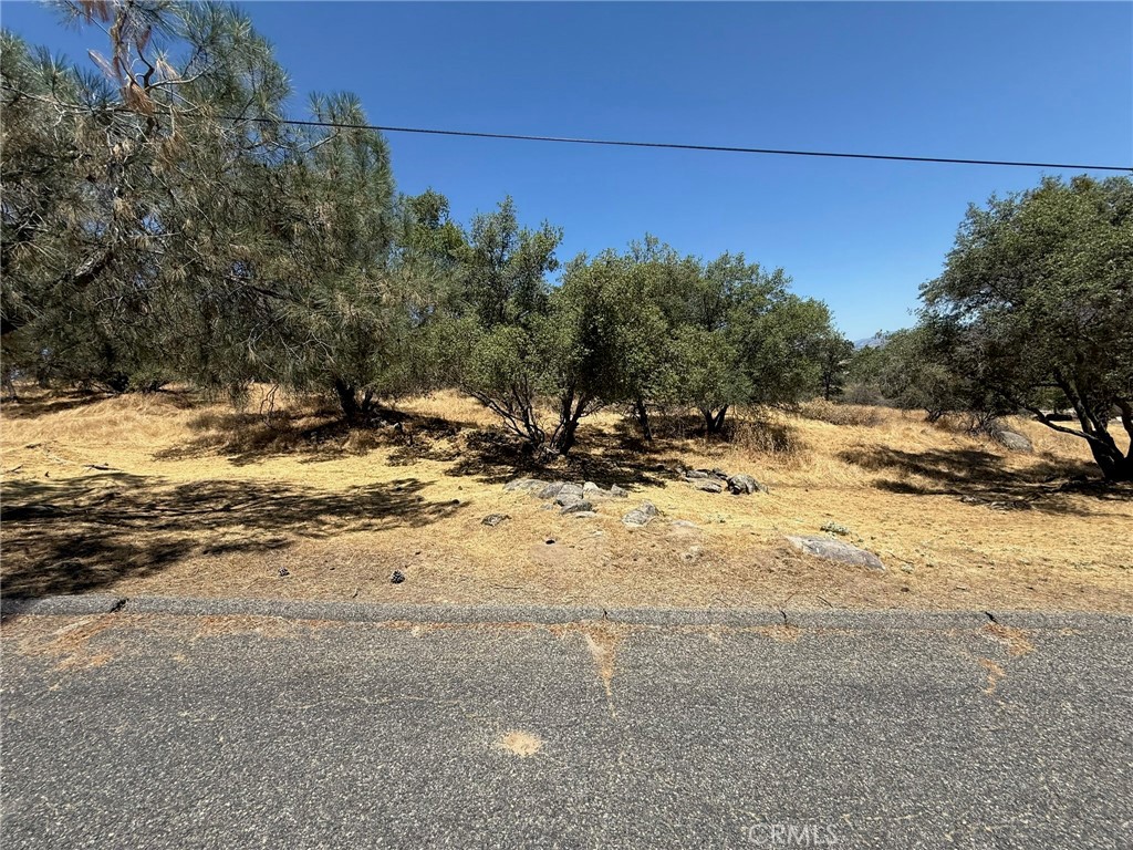 1 Wild Horse Way Property Photo 12