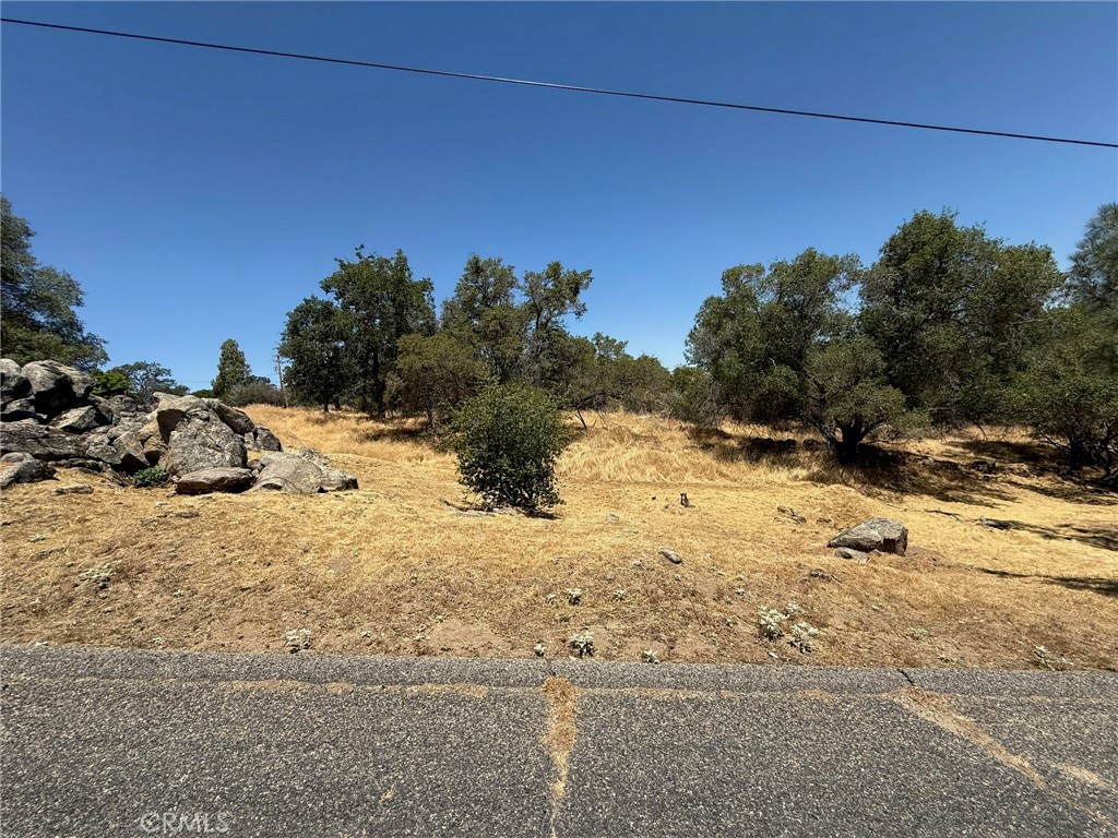 1 Wild Horse Way Property Photo 13