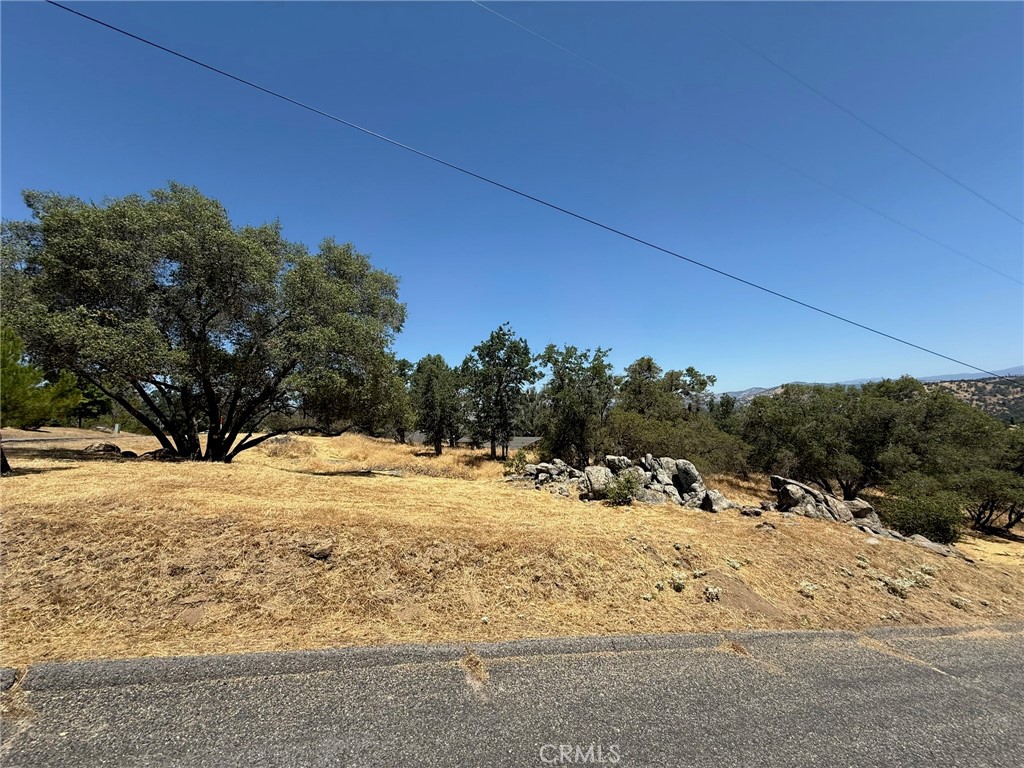 1 Wild Horse Way Property Photo 14