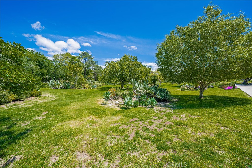 17716 Via De Fortuna Property Photo 38