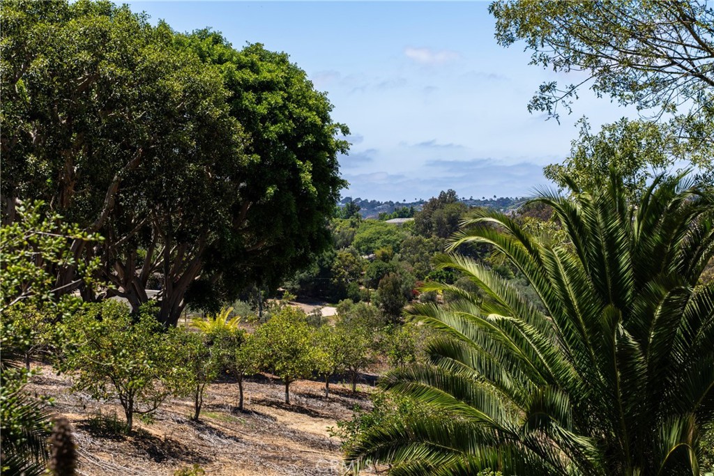 17716 Via De Fortuna Property Photo 39