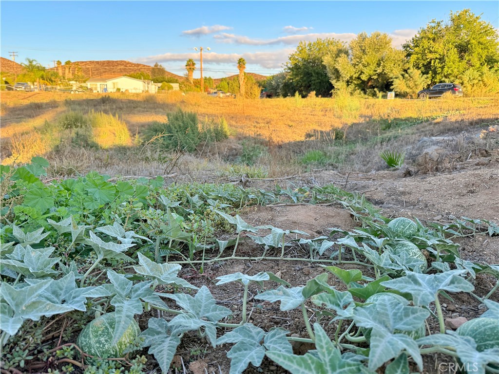 0 Avenida De Las Flores Property Photo 23