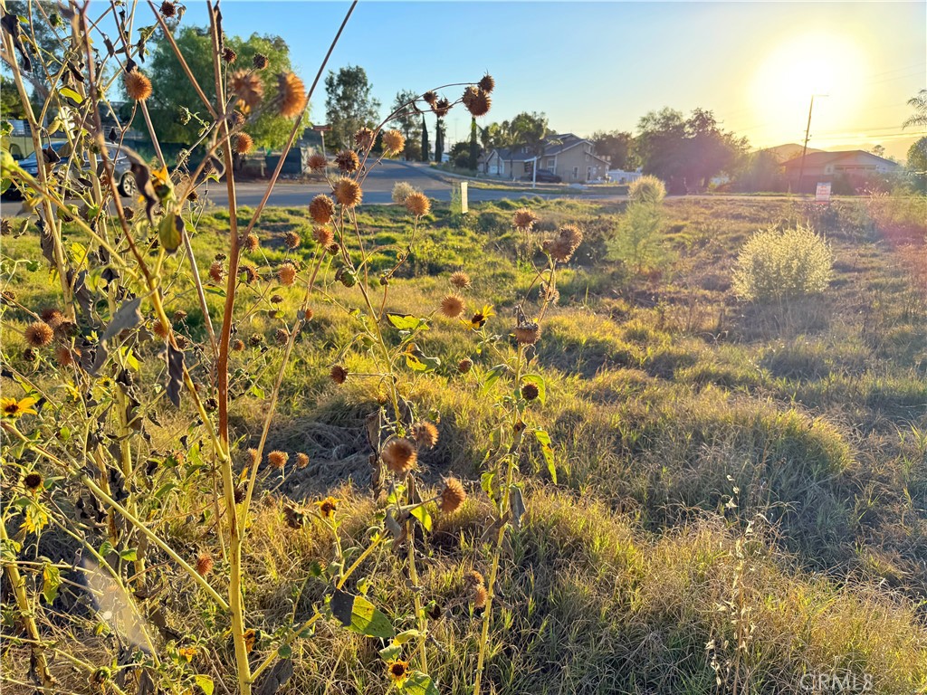 0 Avenida De Las Flores Property Photo 25