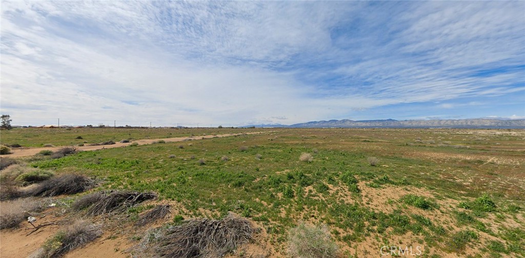0 Denhart Avenue Property Photo 2