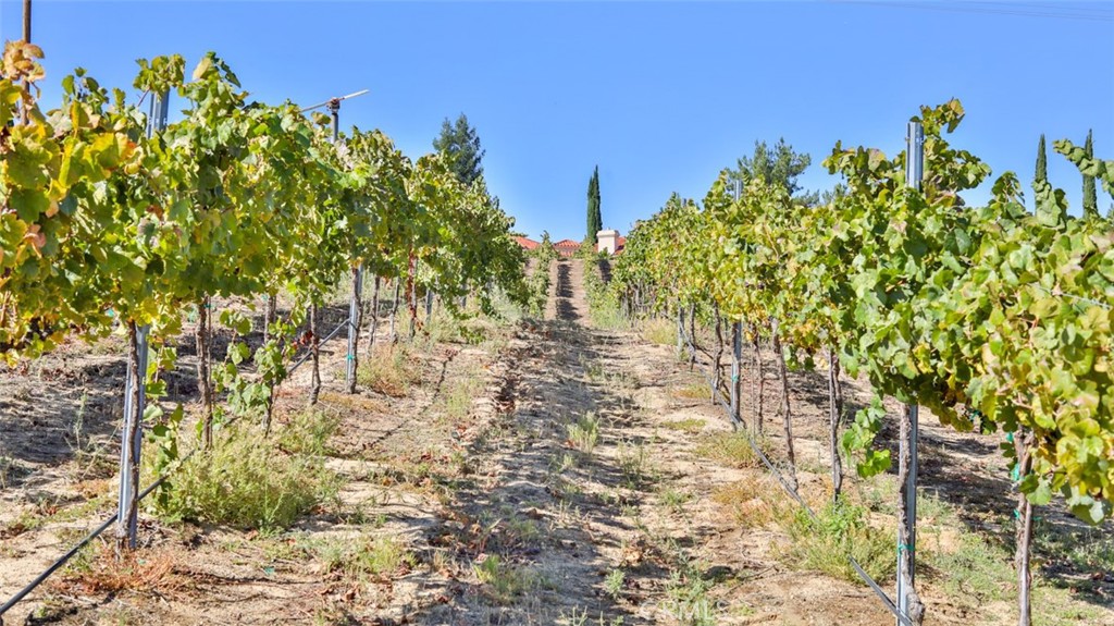 0 Valle Toscana Ct Property Photo 1