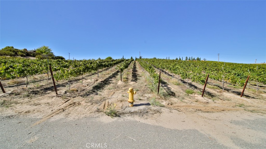 0 Valle Toscana Ct Property Photo 4