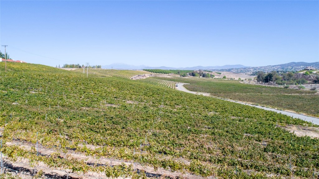 0 Valle Toscana Ct Property Photo 25