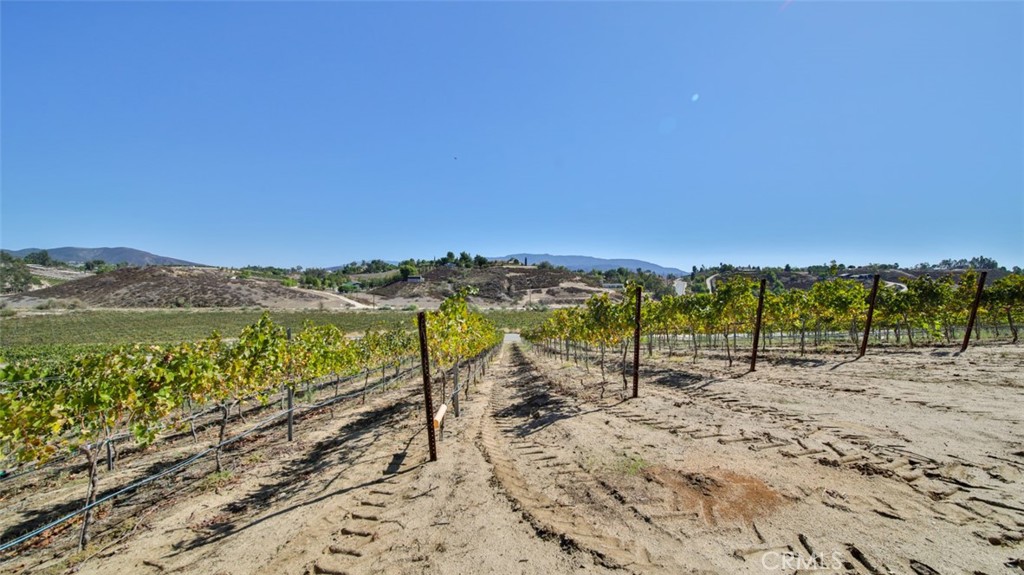 0 Valle Toscana Ct Property Photo 29