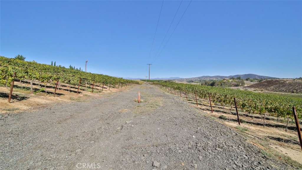 0 Valle Toscana Ct Property Photo 31