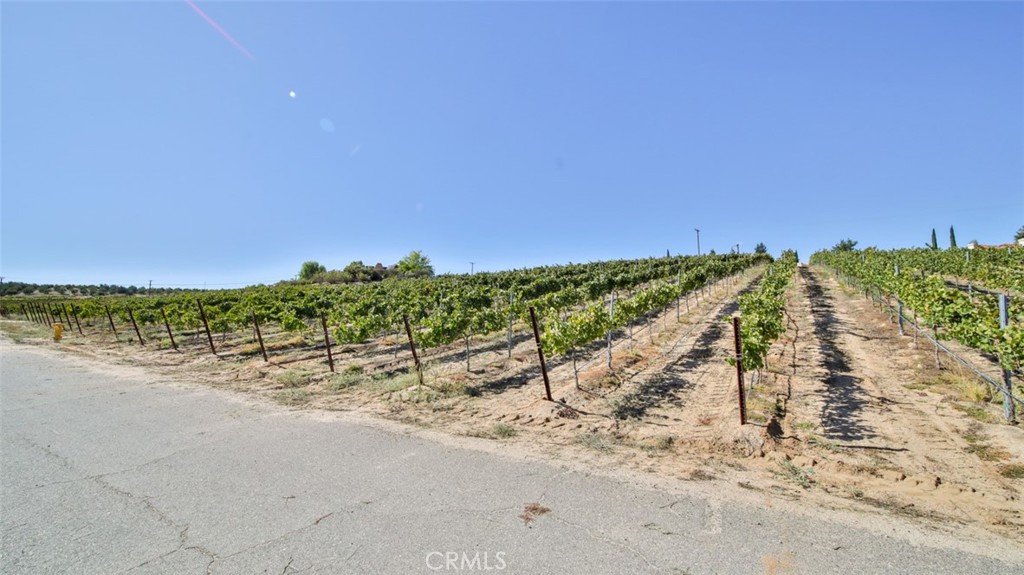 0 Valle Toscana Ct Property Photo 34