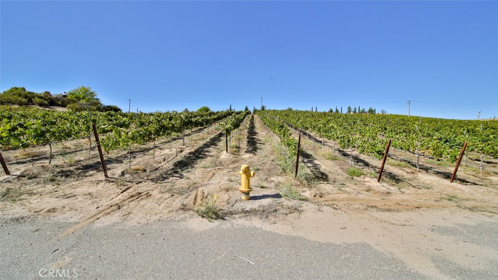 0 Valle Toscana Ct Property Photo 35