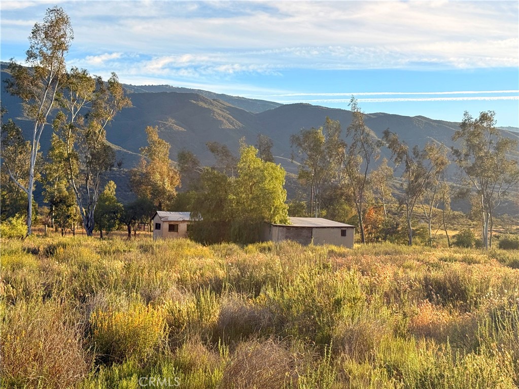 0 Highway 79 Property Photo 5
