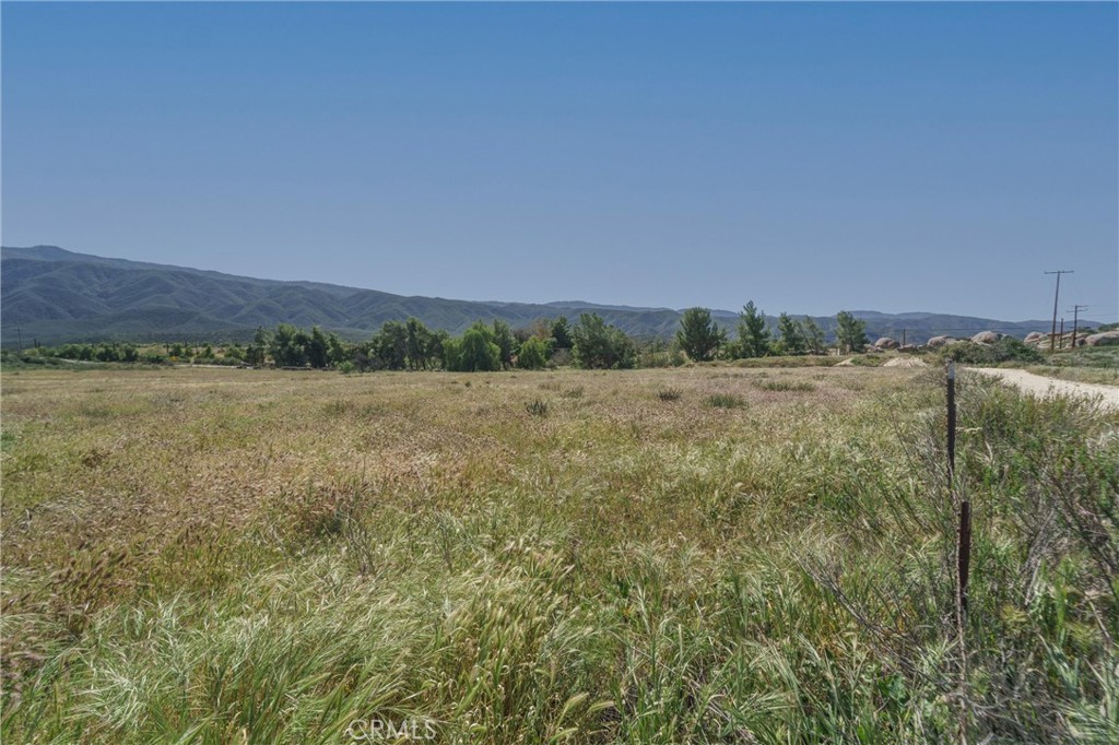 0 Highway 79 Property Photo 12