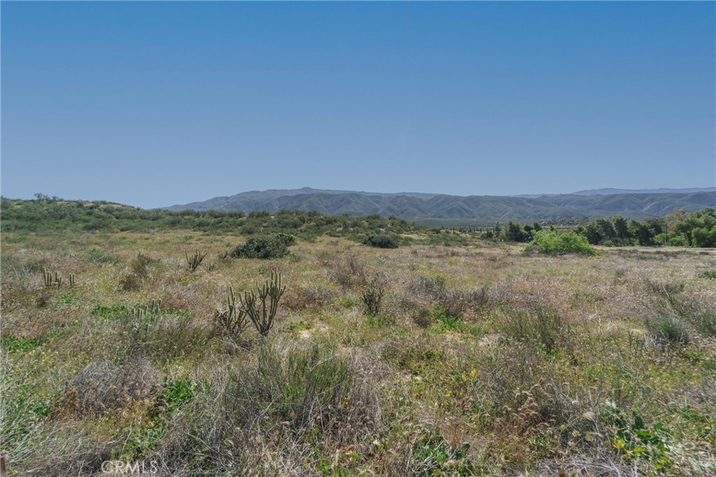 0 Highway 79 Property Photo 28