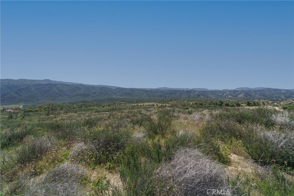 0 Highway 79 Property Photo 30