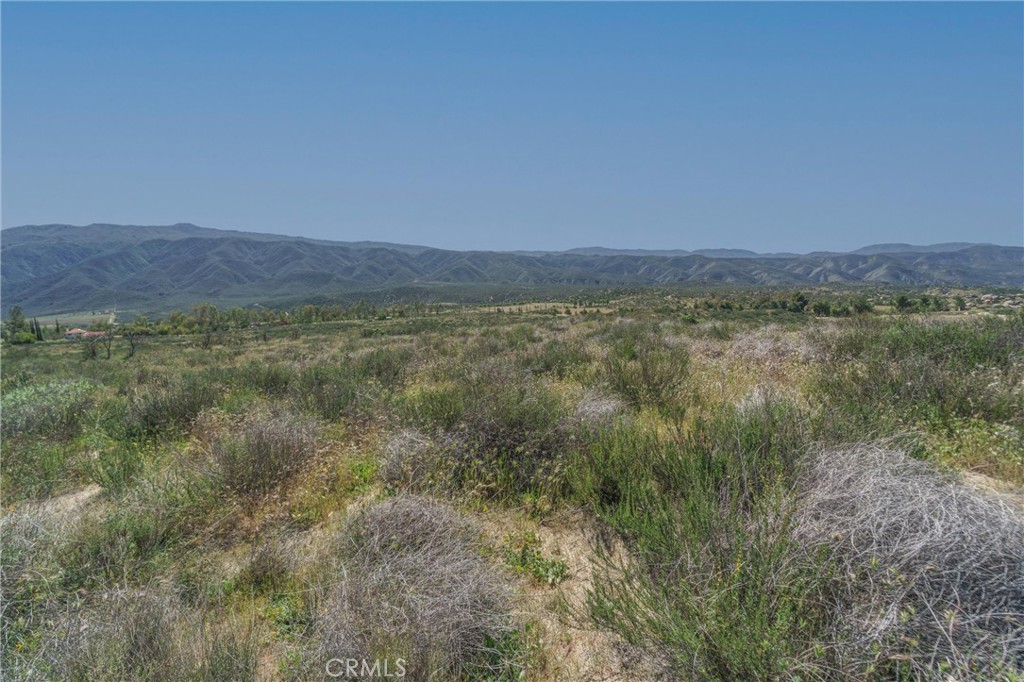 0 Highway 79 Property Photo 34