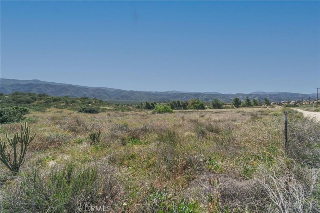 0 Highway 79 Property Photo 38