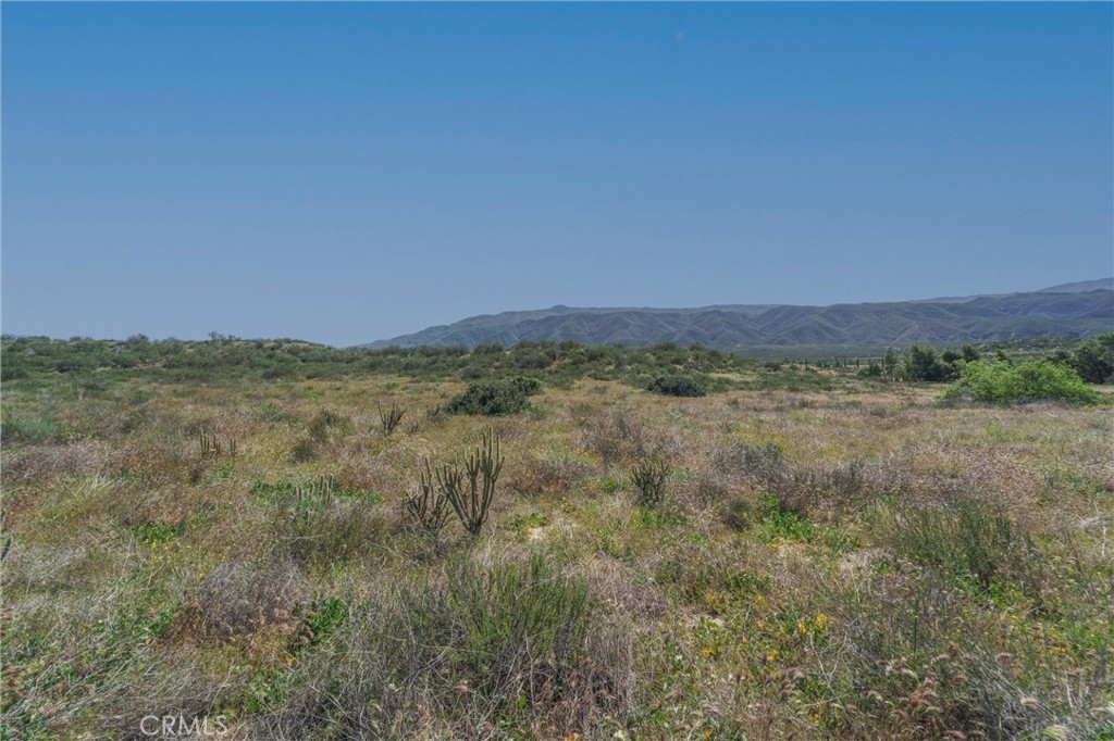0 Highway 79 Property Photo 39