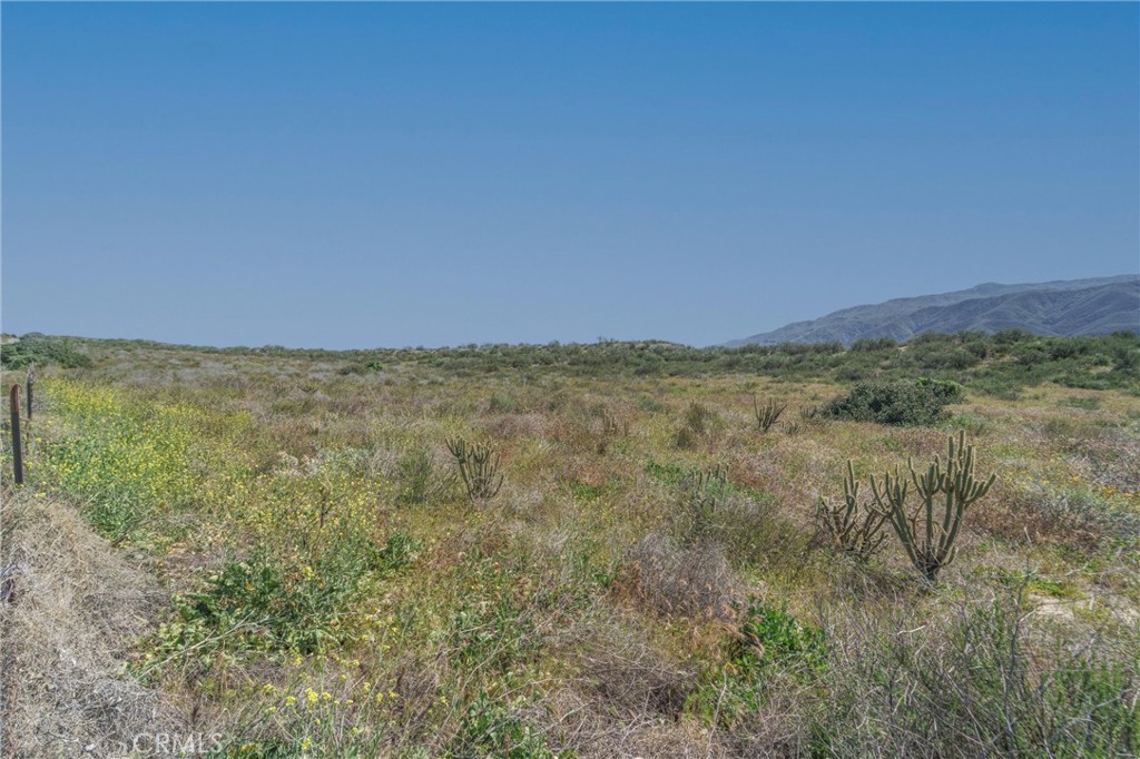 0 Highway 79 Property Photo 41