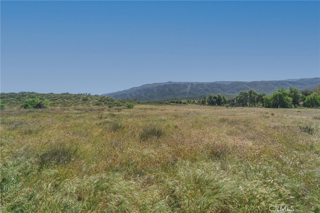 0 Highway 79 Property Photo 42
