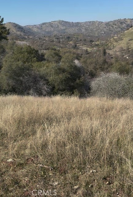 0 Chuckwagon Road Property Photo 1