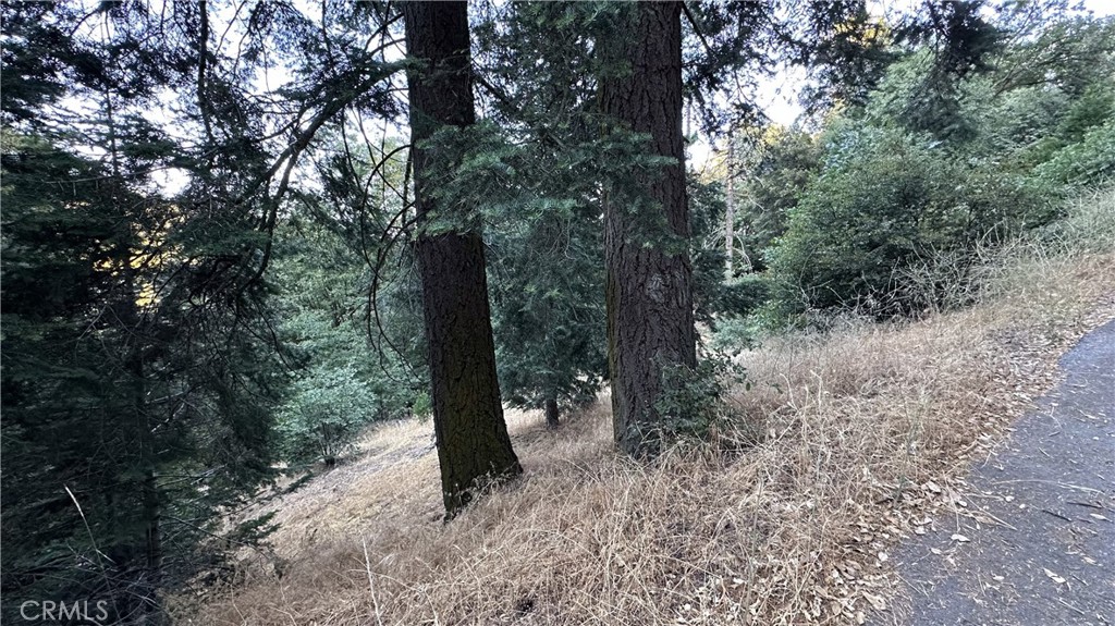 0 Fir Property Photo 2